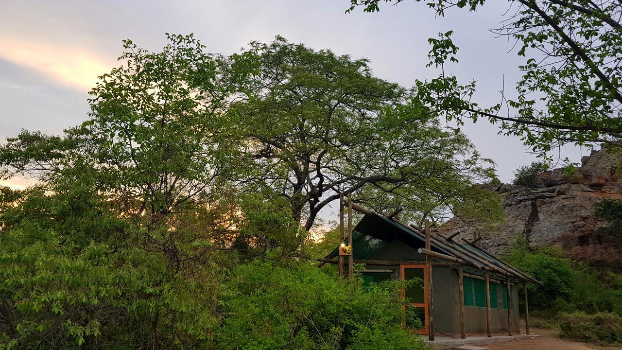 Awelani Lodge Masisi Екстер'єр фото